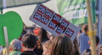Insa: Mehrheit für AfD-Verbot