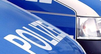 Zwei Tote bei Baumunfall im Rhein-Main-Gebiet