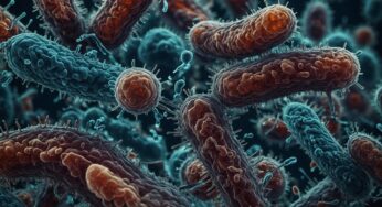 Alarm in mehreren Bundesländern: Bereits 400.000 sind Virus erlegen