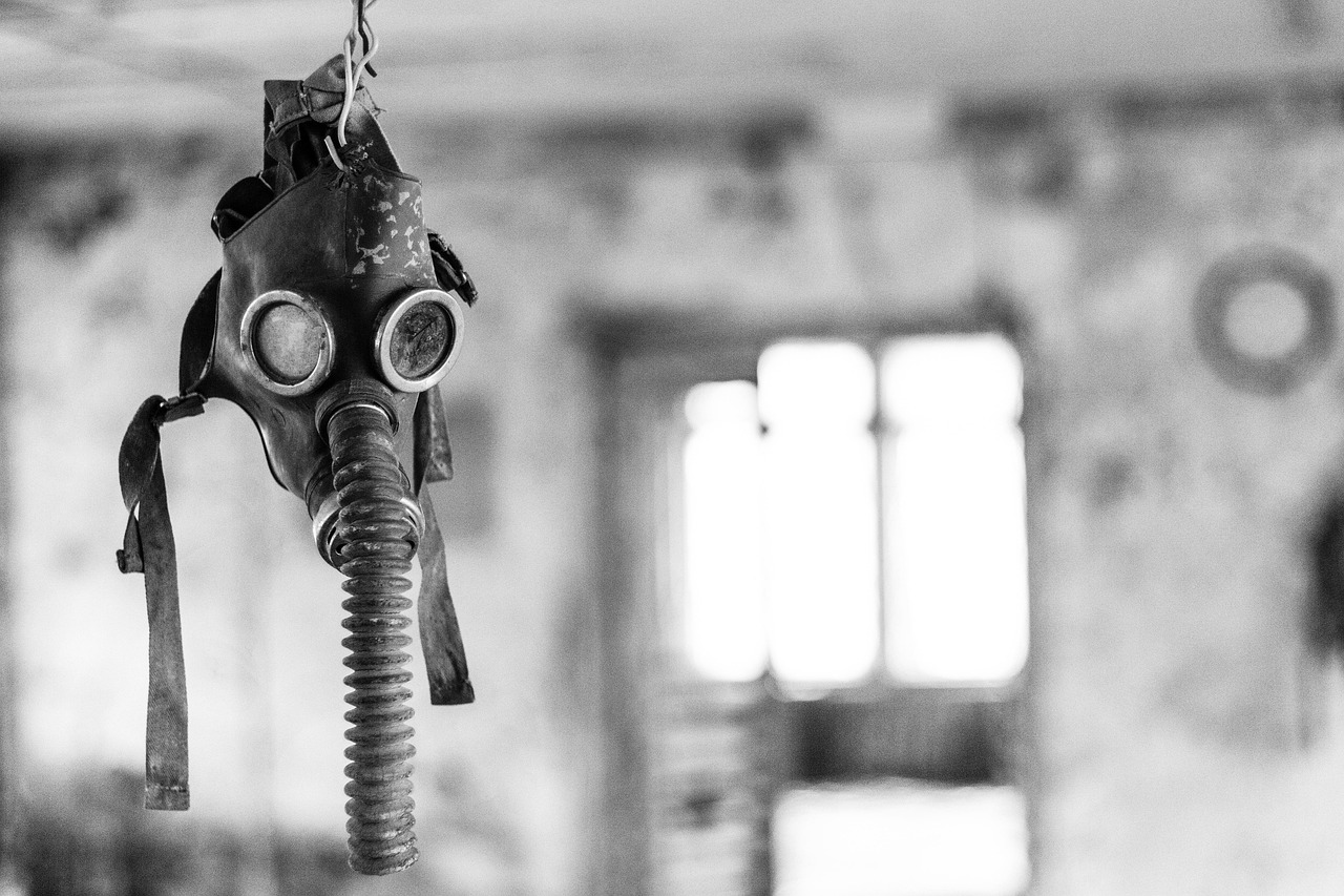 Forscher machen in der Sperrzone von Tschernobyl schräge Entdeckung