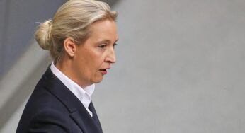 CDU und Grüne kritisieren Weidel für Verfassungsschutz-Aussage