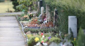 Sterbefallzahlen stagnieren 2025