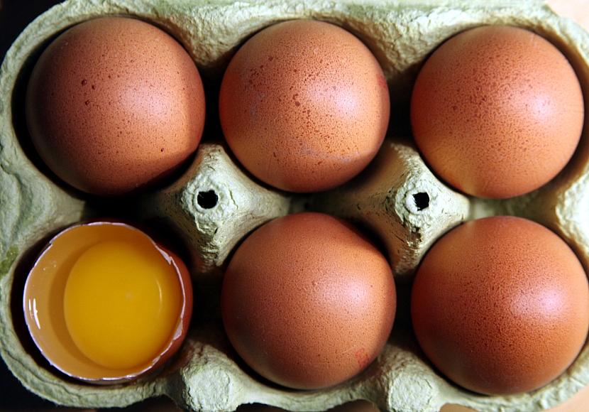 Niederlande bleiben Hauptlieferant für Eierimporte nach Deutschland