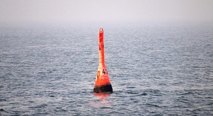 Buckelwal in der Ostsee sitzt wieder fest