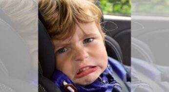 Warnung an die Bürger: Millionenstarke, „apokalyptische“ Insektenwolke über Deutschland