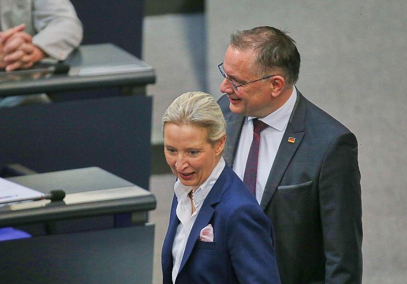 Umfrageinstitut Insa meldet neuen Rekordwert für AfD