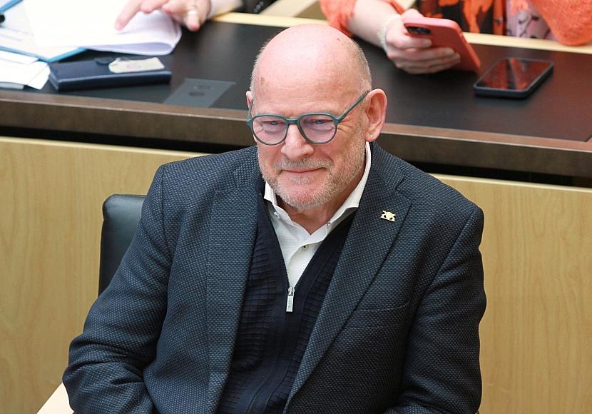 Hermann sieht Pazifisten „in der Minderheit bei den Grünen“