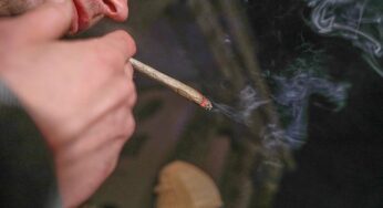 Cannabis: Deutschlandweit 413 Anbauvereine genehmigt