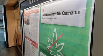 Grüne wollen leichteren Zugang zu Cannabis