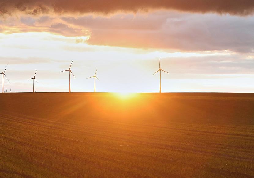 Forsa: Zwei Drittel befürworten Klimaneutralität bis 2045