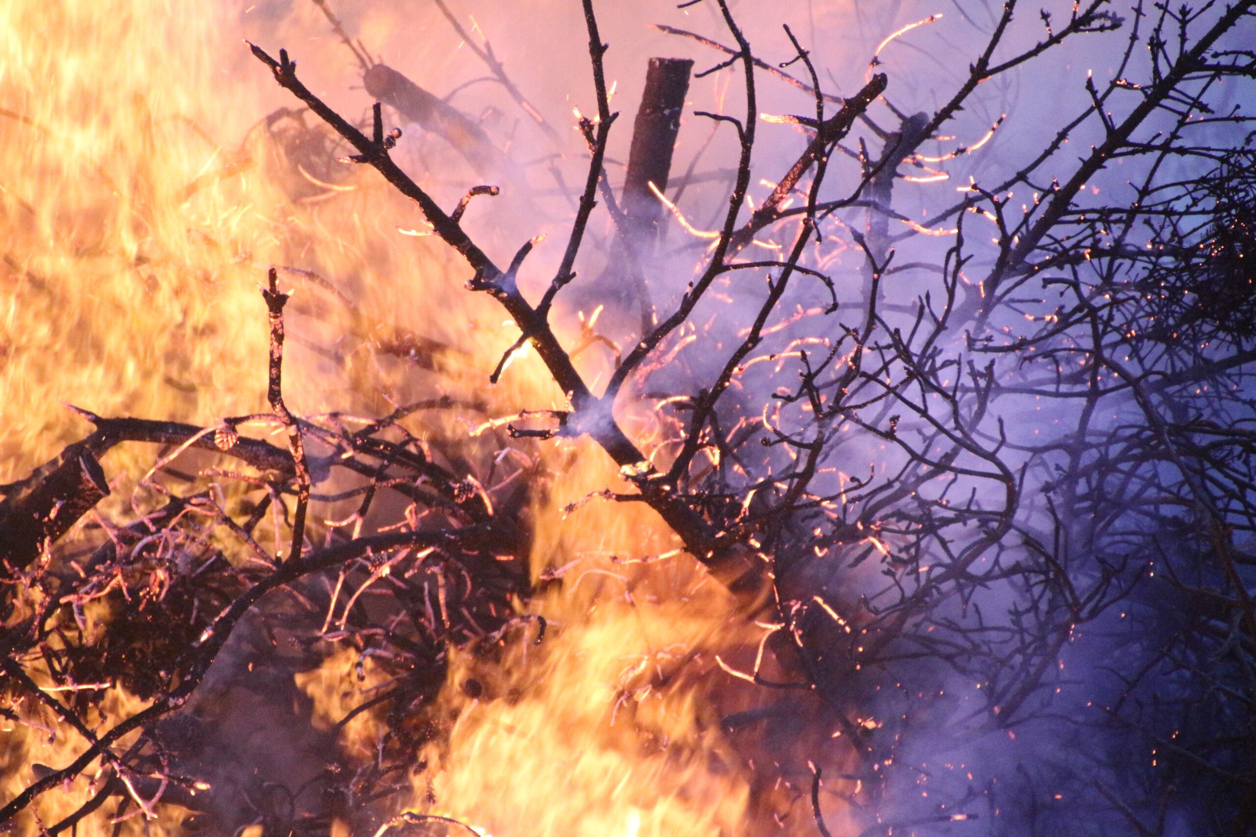 Riesiger Waldbrand in Nordrhein-Westfalen schockt ganz Deutschland