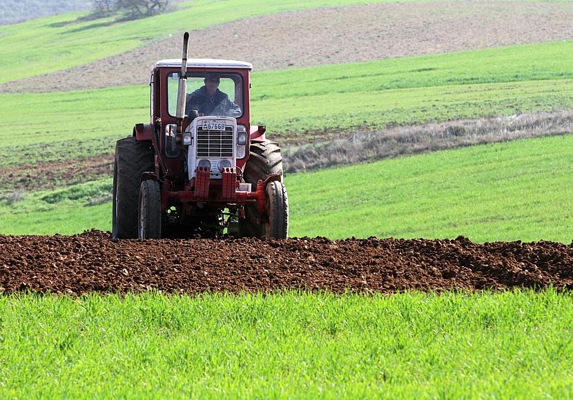 Sojabohnen-Anbaufläche in Deutschland seit 2016 mehr als verdoppelt