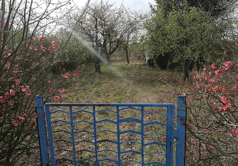Gartenbesitzer in Deutschland fördern verstärkt Artenvielfalt