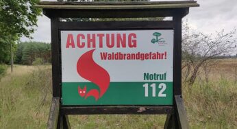 DIW: 2026 doppelt so viel Fläche verbrannt wie im Zehnjahresschnitt