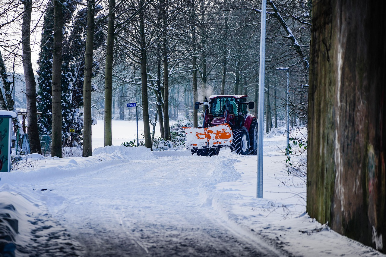 Erster Schnee auf dem Weg